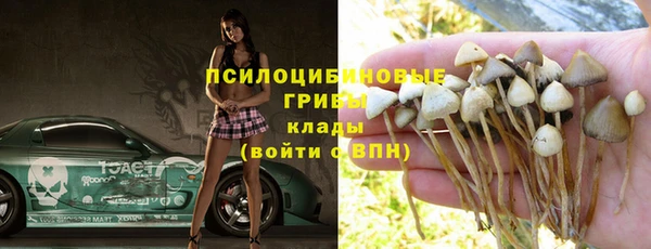 Альфа ПВП Баксан