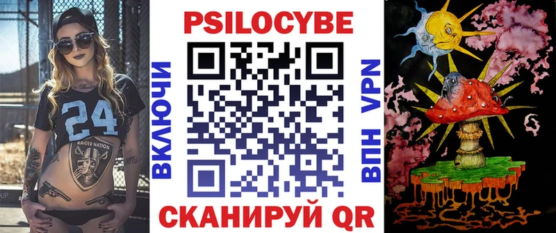 hydra ссылки  Курчалой  Псилоцибиновые грибы Cubensis  как найти  